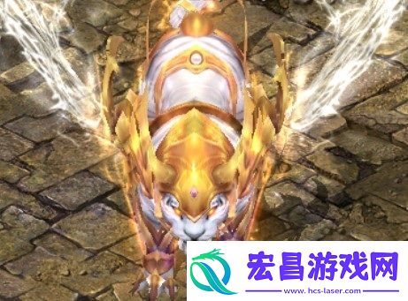 超燃赛场等你来