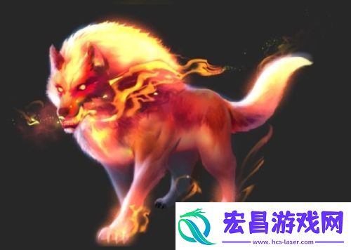 超燃赛场等你来
