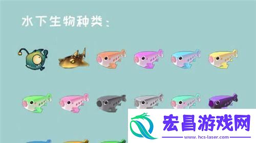 让你在水下探险游刃有余！