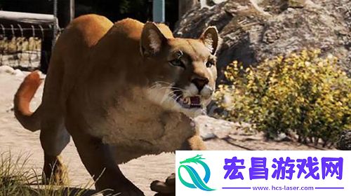 孤岛惊魂5有哪些宠物可驯养动物大全