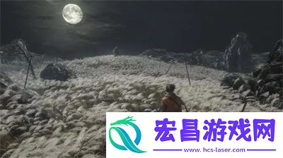 诺亚之心伽诺斯高难副本使用攻略