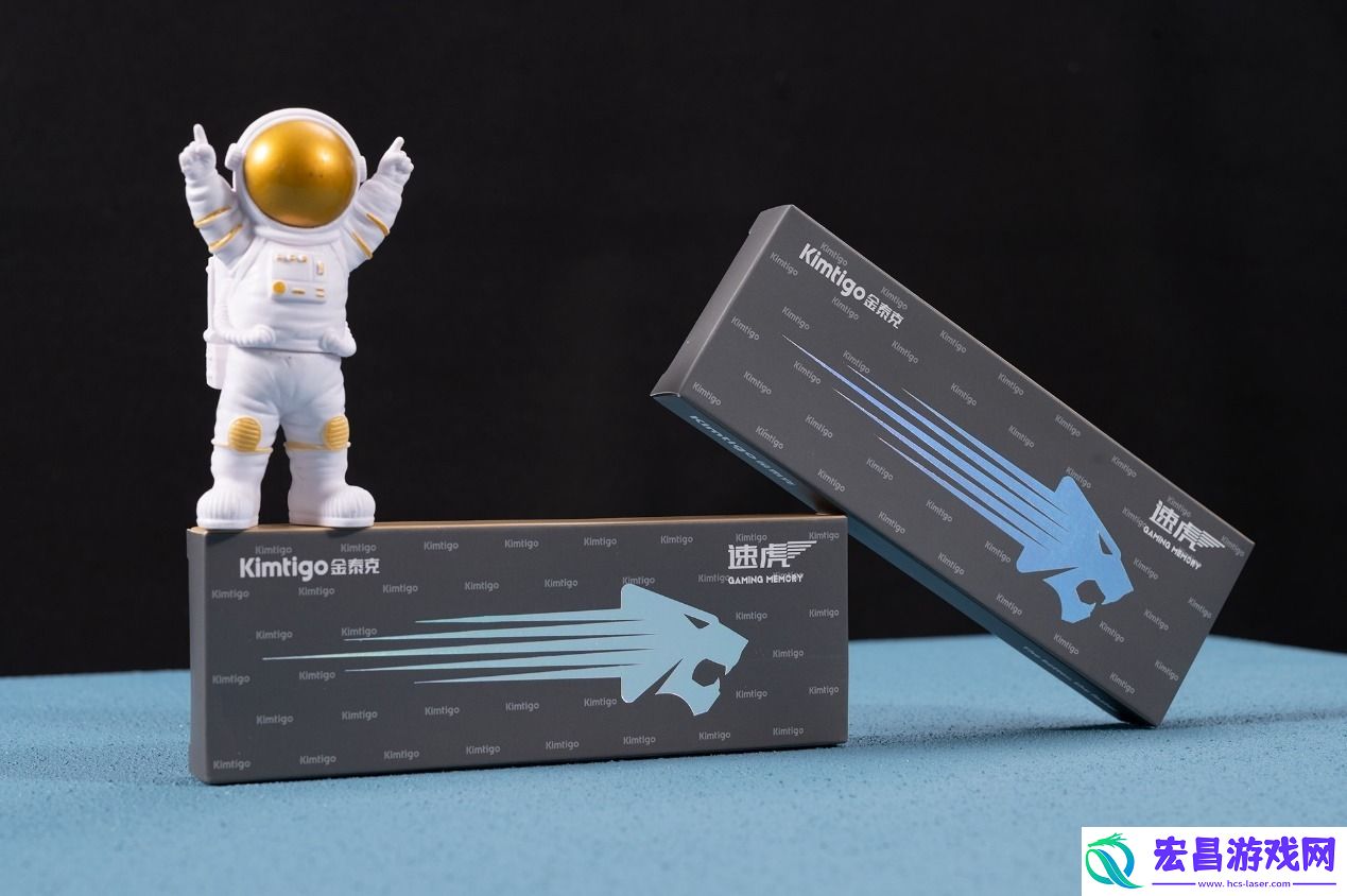 金泰克速虎DDR5