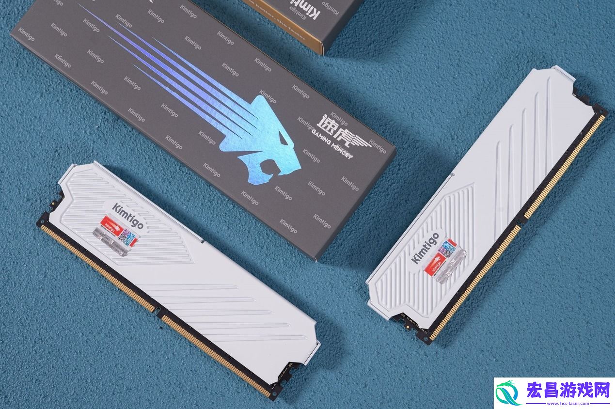 金泰克速虎DDR5