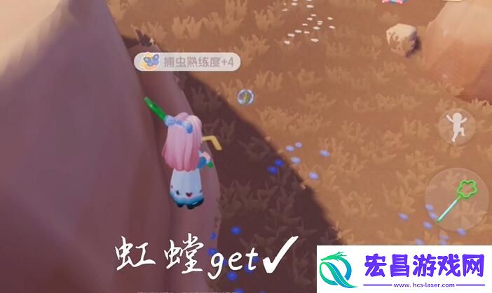 心动小镇捕虫方法分享
