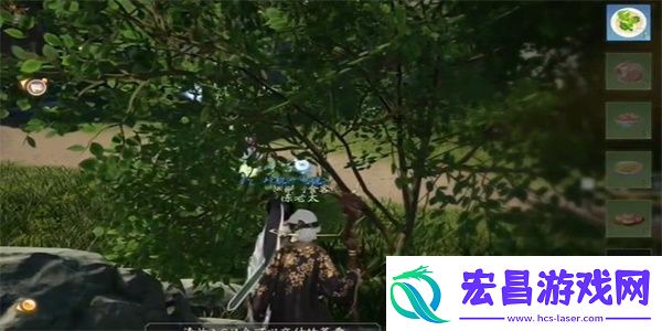 射雕红尘戏鱼脍尝鲜任务怎么完成
