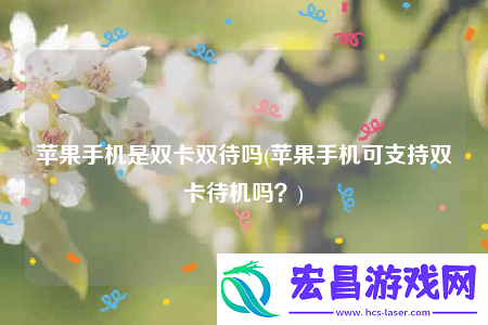 苹果手机是双卡双待吗