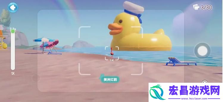 心动小镇鸟类观察图鉴汇总