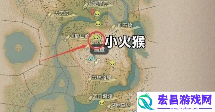 宝可梦传说阿尔宙斯小火猴在哪里