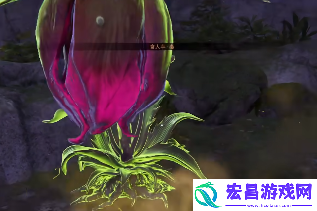 永劫无间手游万法宗坛附近有什么