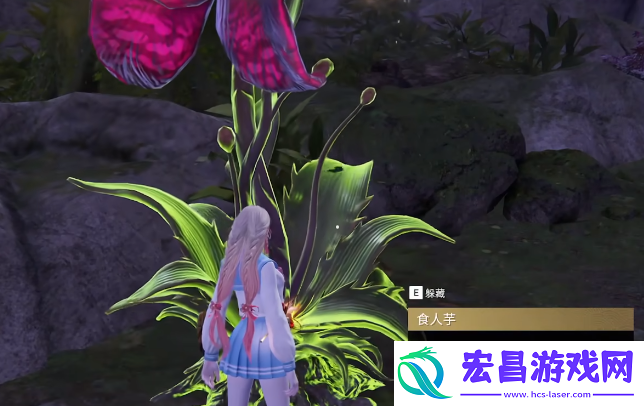 永劫无间手游万法宗坛附近有什么