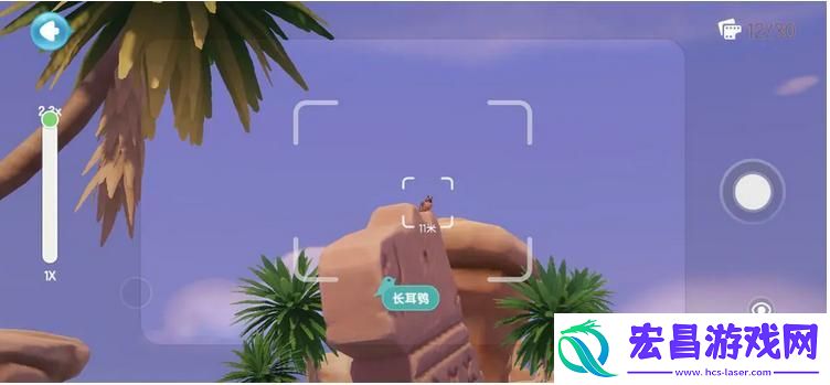 心动小镇鸟类观察图鉴汇总