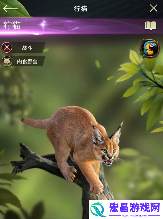 野兽领主新世界狞猫怎么样
