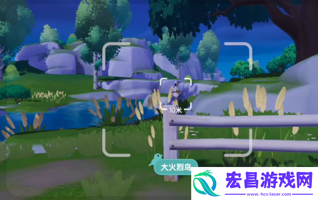 心动小镇观鸟卡什么用