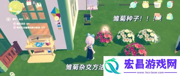 心动小镇雏菊杂交配方详解