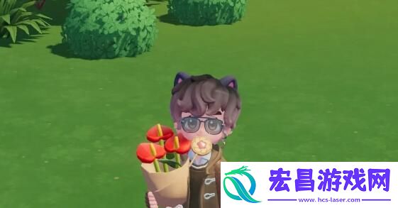 心动小镇花烛杂交配方详解
