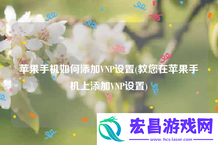 苹果手机如何添加VNP设置