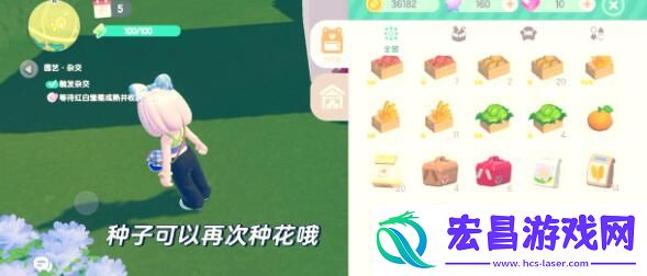 心动小镇雏菊杂交配方详解