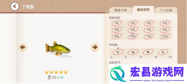 心动小镇丁桂鱼钓鱼方法分享