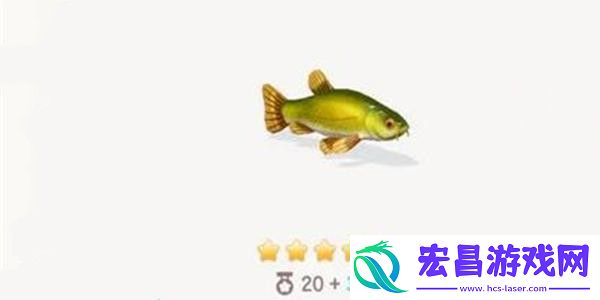 心动小镇丁桂鱼钓鱼方法分享
