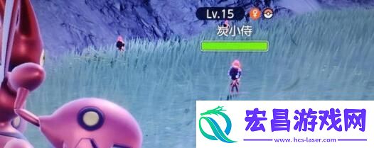 宝可梦朱紫回转梦想家可购买食物及加成一览