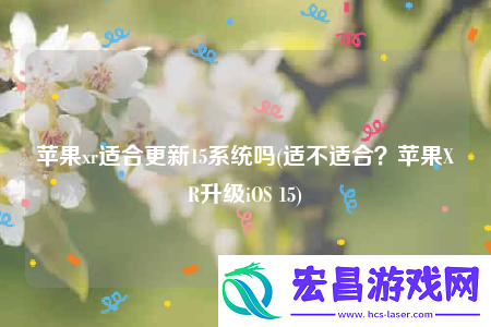 苹果xr适合更新15系统吗