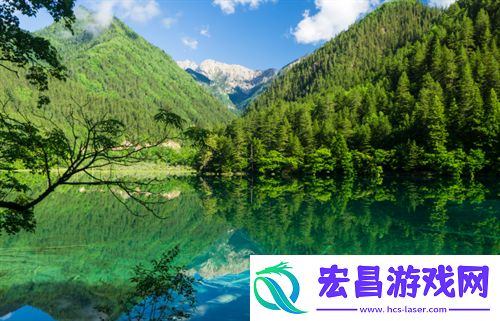 realme真我GT5手机怎么样