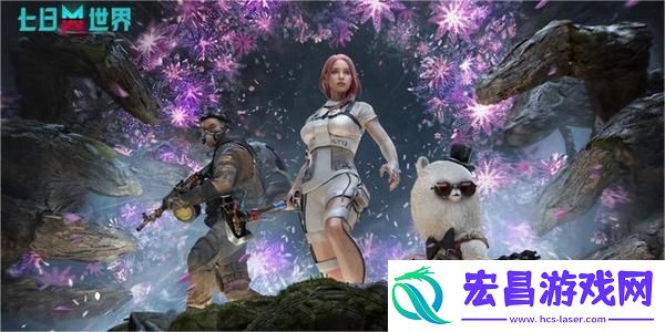 七日世界悬巢神秘宝箱位置一览