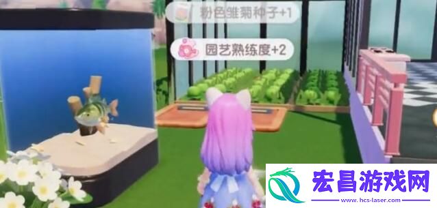 心动小镇花朵怎么杂交