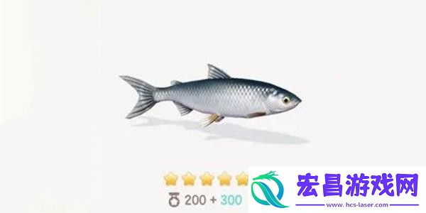 心动小镇真白鲑钓鱼方法分享