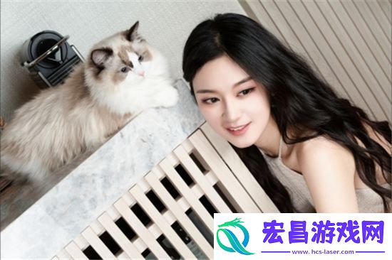 金牌惩戒师sp实验教程