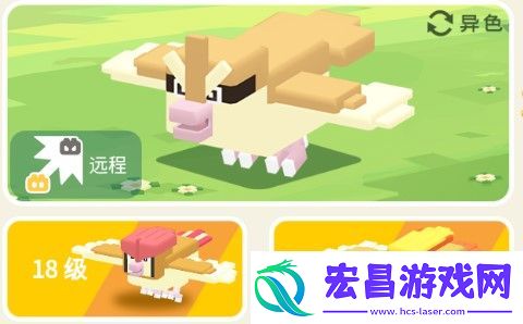 宝可梦大探险波波攻略