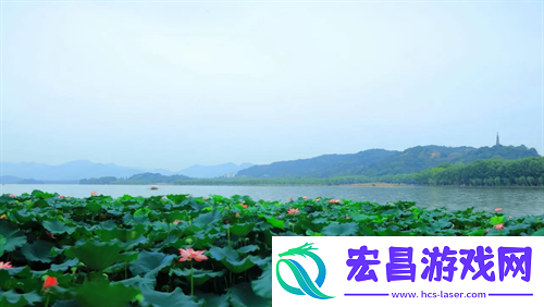 小米14怎么切换4g和5g