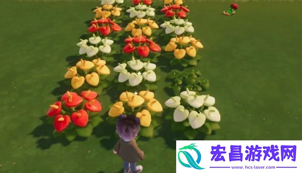 心动小镇彩虹繁育粉怎么使用