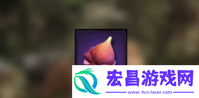 野兽领主新世界物竞天择活动物品选哪个