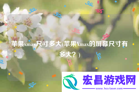 苹果xmax尺寸多大