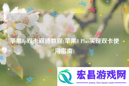 苹果8p双卡双待教程