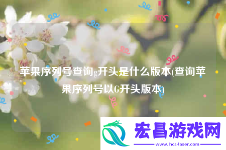 苹果序列号查询g开头是什么版本
