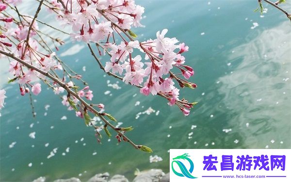 hp公交车灌溉系统几个庄主工人