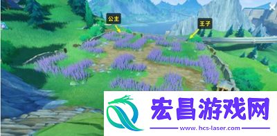 原神在开满鲜花的草地上怎么触发