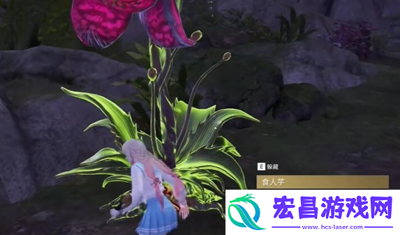 永劫无间龙隐洞天食人芋在哪
