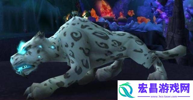 魔兽世界wlk灵魂兽大全