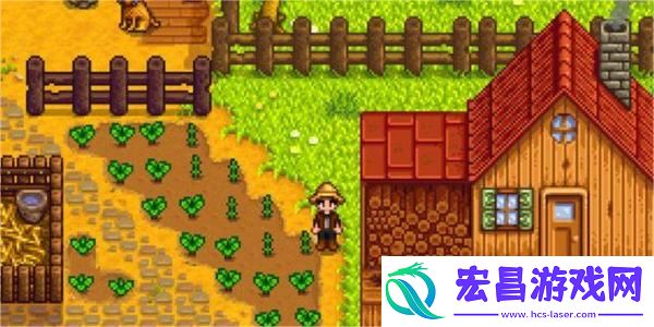 星露谷物语放大镜获取方法
