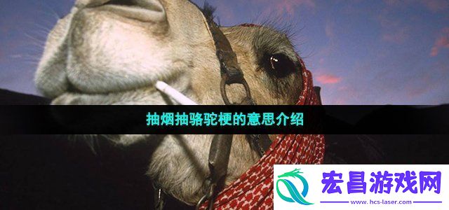抽烟抽骆驼是什么梗