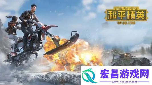 和平精英组队吃鸡玩法有意思吗