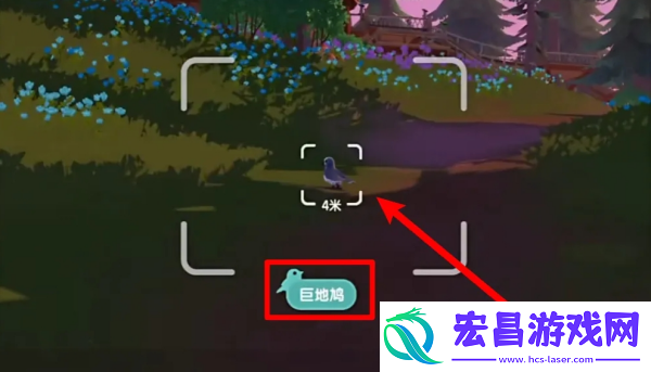 心动小镇巨地鸠在哪