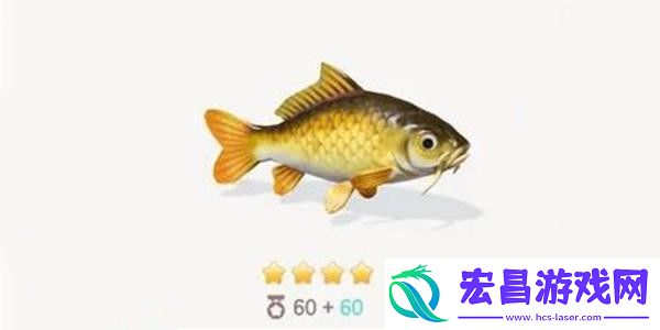 心动小镇鲤鱼钓鱼方法分享