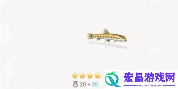 心动小镇花鳅钓鱼方法分享