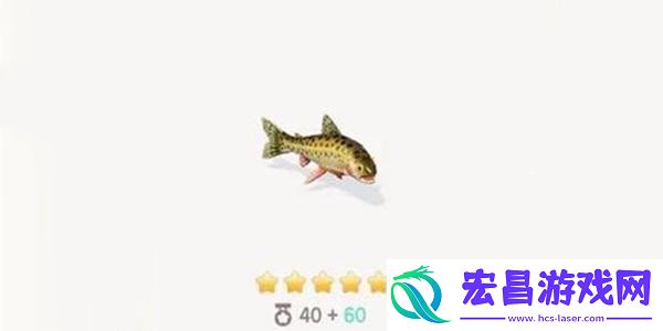 心动小镇大马哈鱼钓鱼方法分享