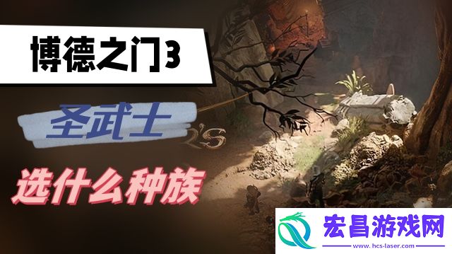 博德之门3圣武士选什么种族
