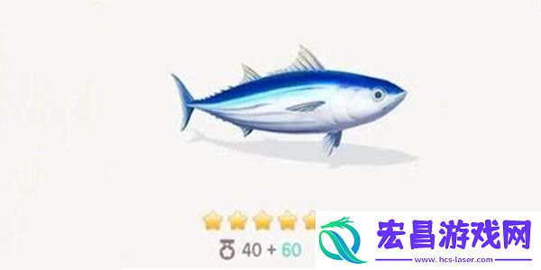 心动小镇鲣鱼钓鱼方法分享